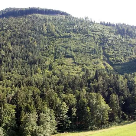 Kleine Einfache In Malerischer Umgebung Salzburgs 公寓 克珀